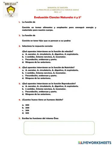 Funciones Vitales, 5 sentidos, sistema oseo, sistema muscular, sistema digestivo