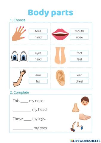 Body parts