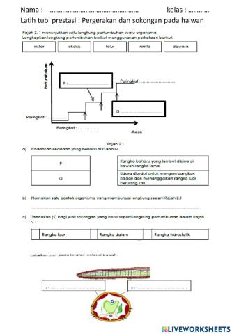 Sokongan dan pergerakan haiwan