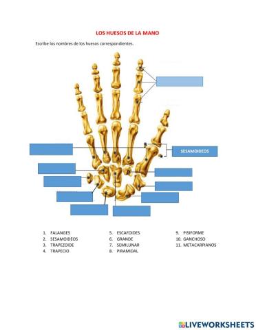 Ciencia y Tecnologia