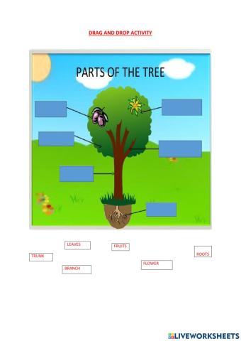 Parts of the Tree