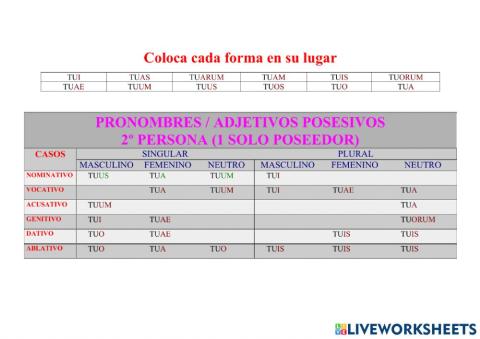 Posesivo TUUS, A, UM