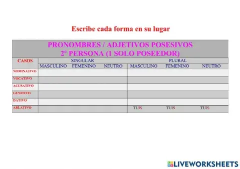 Posesivo TUUS, A, UM