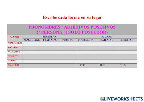 Posesivo TUUS, A, UM