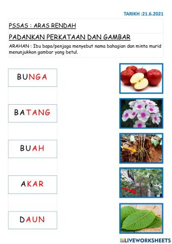 Sains ppki ARAS RENDAH