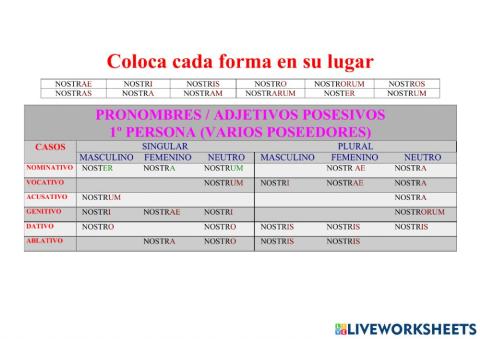 Posesivo NOSTER, A, UM