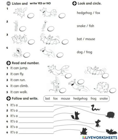 Animals - Unit 4 - First explorers