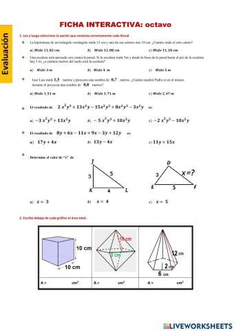 Trabajo de Matemática