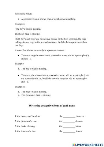 Possessive Nouns (review)