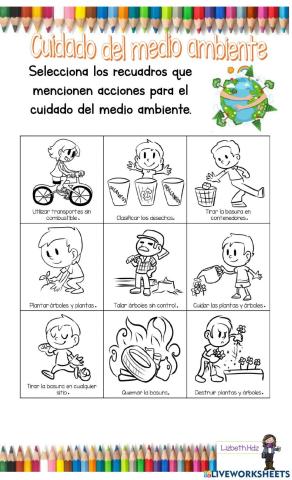 Cuidado del medio
