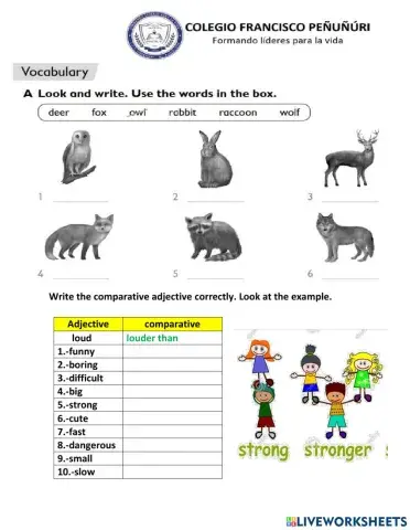 Vocabulary