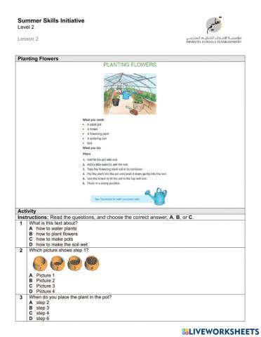 Planting flowers summerskills