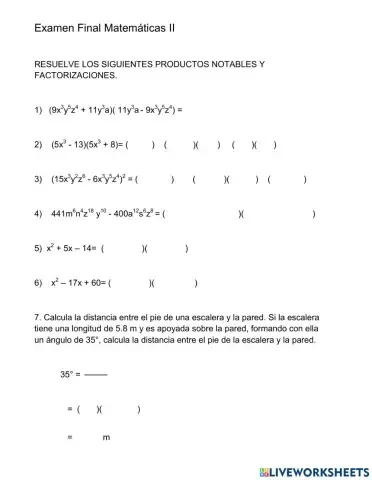 Examen Final Matemáticas II 