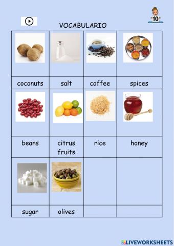 Vocabulario tema 3 Tiger Team