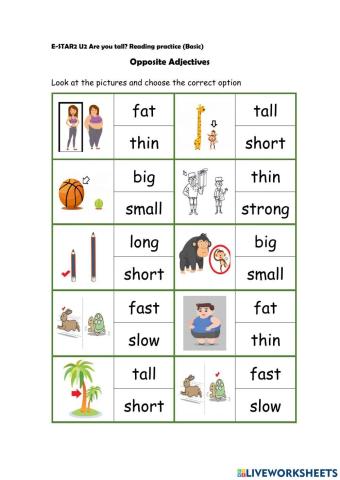 E-STAR2 U2 Are you tall(Basic Reading)