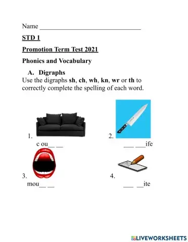 Phonics and VocabularyTest