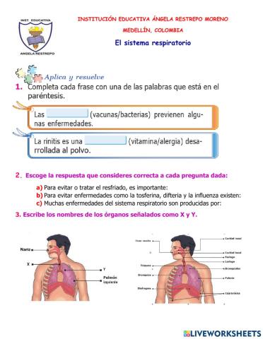 Evaluación del sistema respiratorio