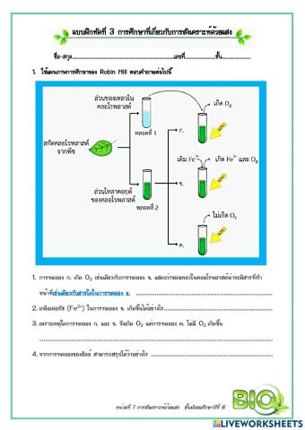 การสังเคราะห์ด้วยแสง : การศึกษาการสังเคราะห์ด้วยแสงและสารสี