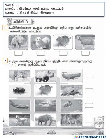 விலங்குகளின் உருவ அளவு