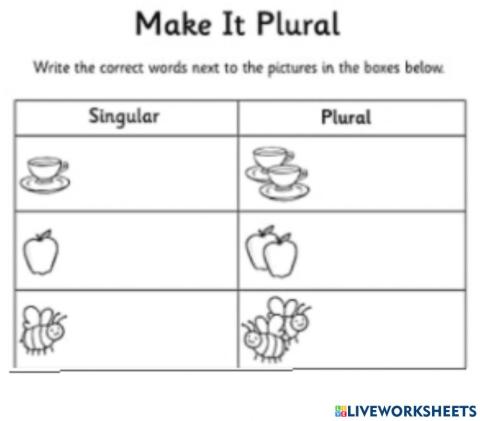 Plural & singular