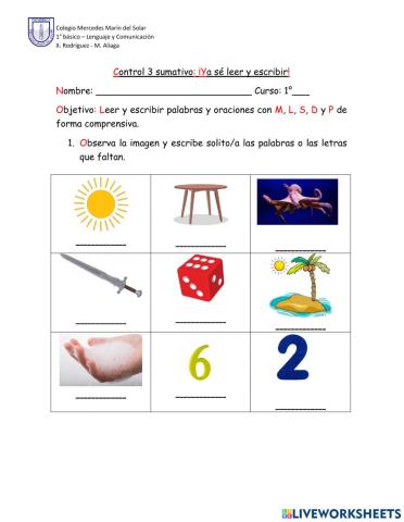 Prueba M, P, L, S y D (Final 1° semestre)