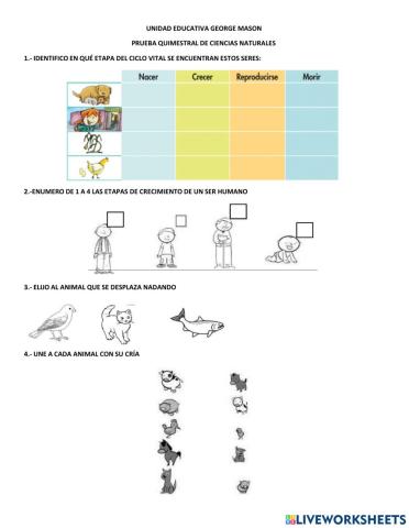 Examen ciencias naturales 2do