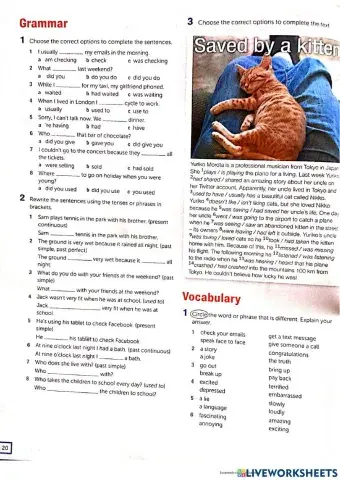 Personal Best B1+ Revision units 1 and 2