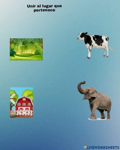 Animales domesticos y salvajes