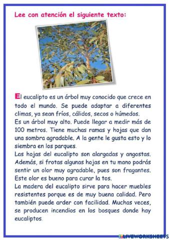 Comprensión lectora