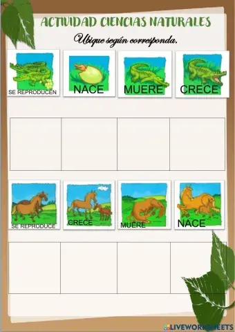 1°Ciencias naturales: ciclo de vida de los seres vivos 23.06.2021