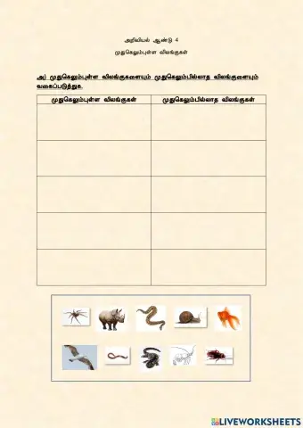 விலங்குகள் - Animals