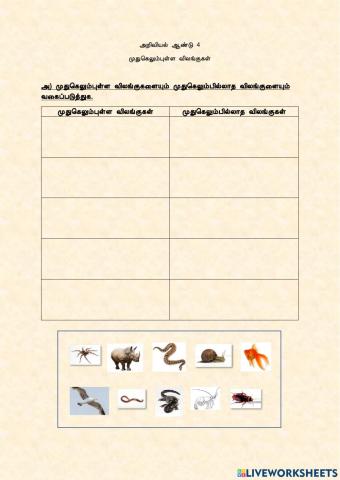விலங்குகள் - Animals