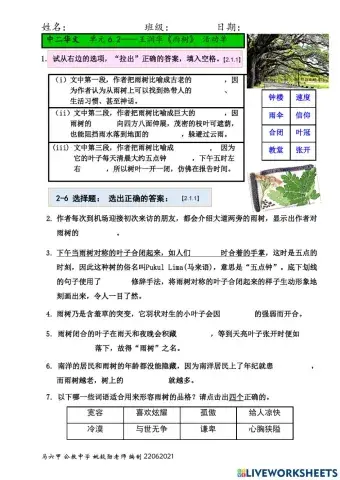 中二单元6.2-《雨树》活动单