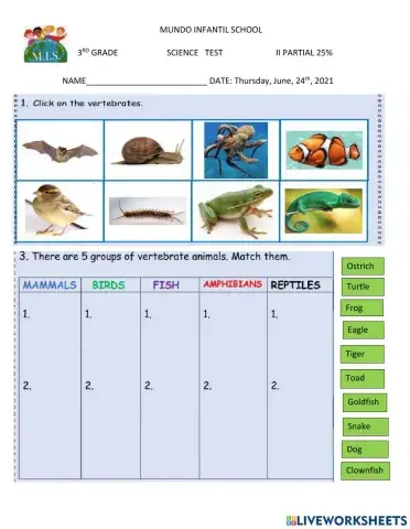 Vertebrates