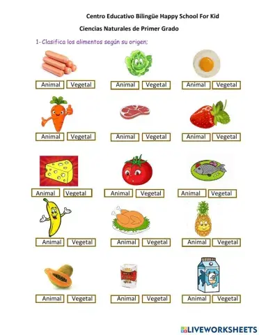 Los Alimentos y su función en el Cuerpo