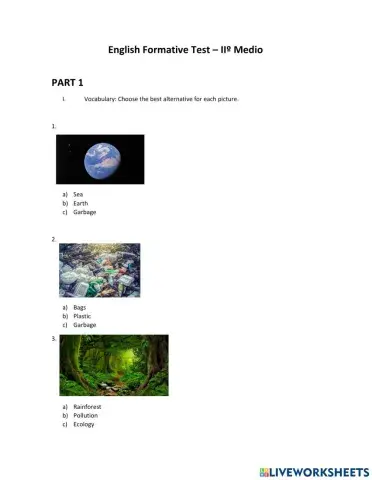 Quantifiers and Frequency Adverbs practice