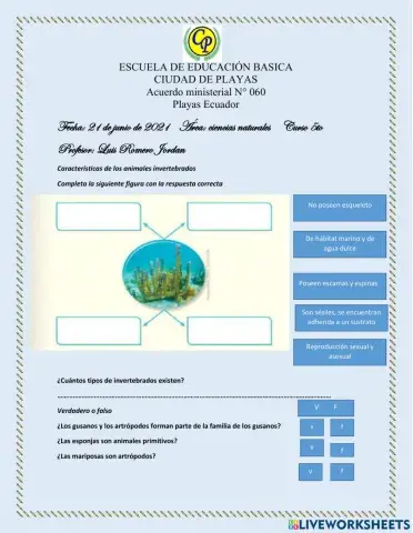 Evaluación Primer parcial