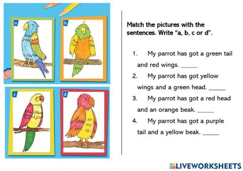 Reading about parrots