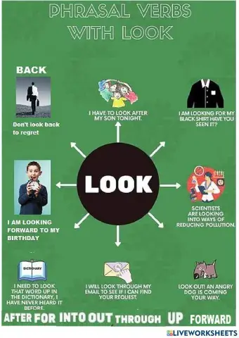 Phrasal verbs with look