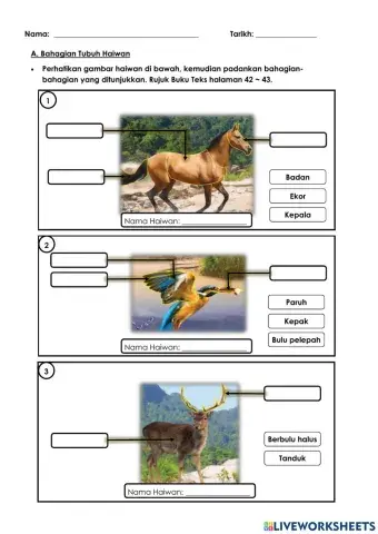 Bahagian Tubuh Haiwan Sains Tahun 1