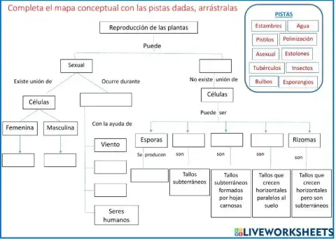 Reproducción de las plantas