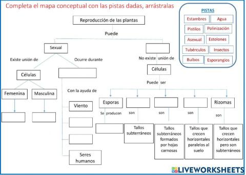 Reproducción de las plantas