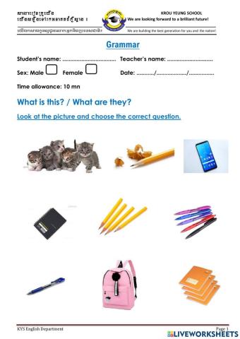 What is this?-What are they?