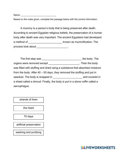 Ancient Egypt Mummies