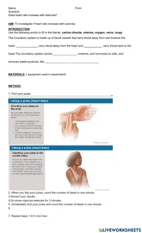 Measuring Pulse Rate