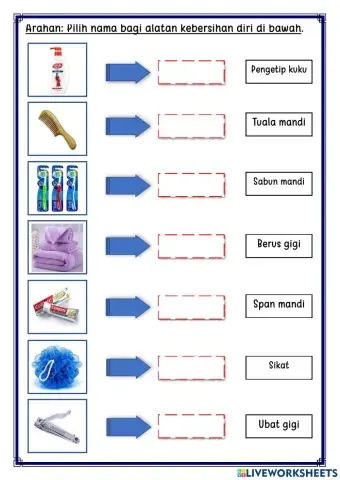Alatan kebersihan diri