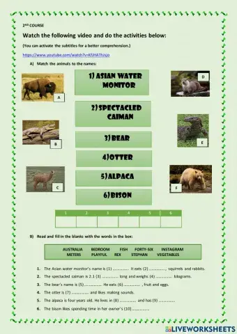 2nd course - Video unusual pets