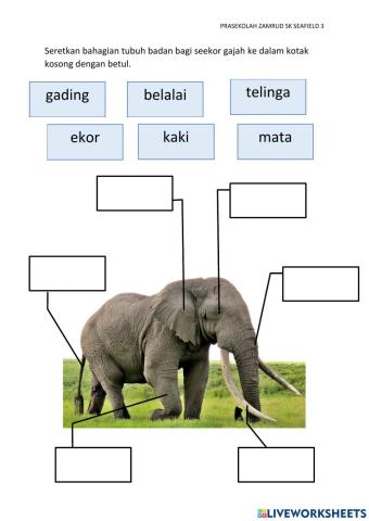 Bahagian Gajah