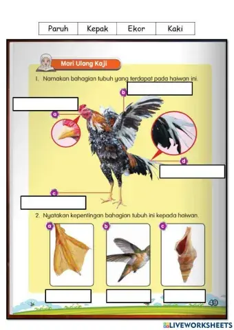 SAINS TAHUN 1 BAHAGIAN TUBUH HAIWAN DAN KEPENTINGANNYA
