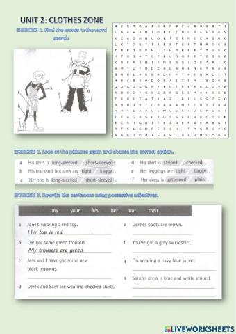 Clothes vocabulary and possessives